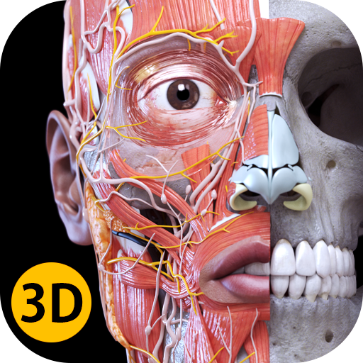 Anatomy 3D Atlas App