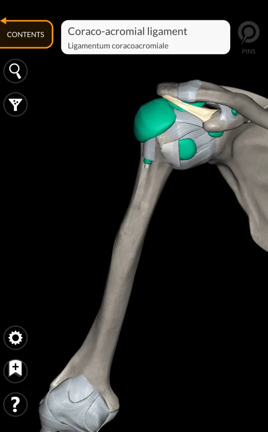 Center view in Anatomy 3D Atlas, screen 1 of 2