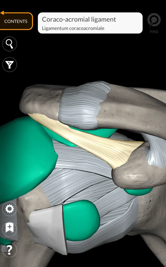 Center view in Anatomy 3D Atlas, screen 2 of 2