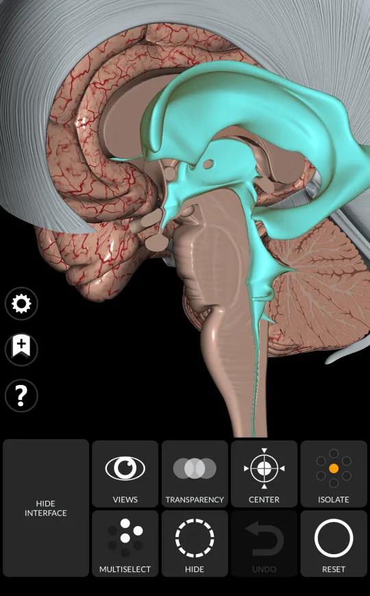 Isolate in Anatomy 3D Atlas, screen 1 of 2