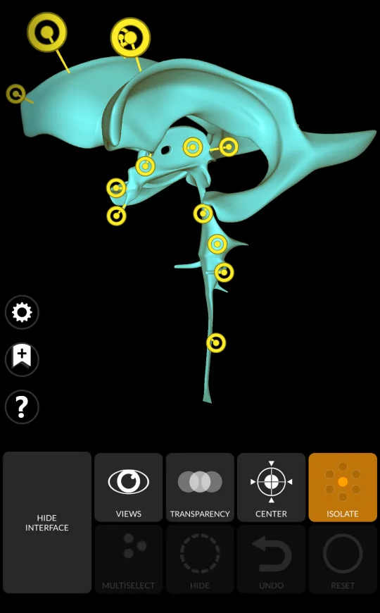 Isolate in Anatomy 3D Atlas, screen 2 of 2