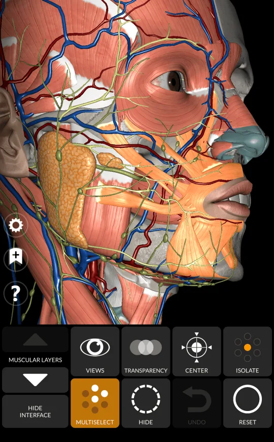 Multiselect in Anatomy 3D Atlas, screen 1 of 2