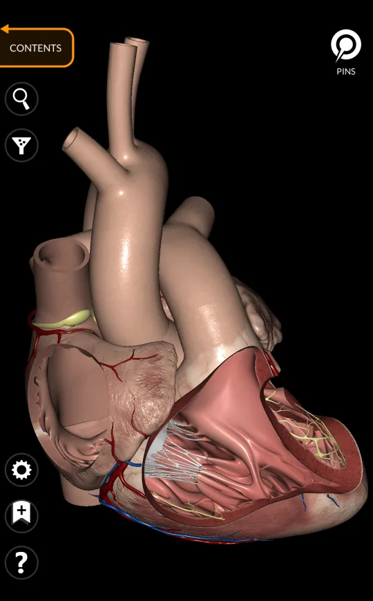 Pins in Anatomy 3D Atlas, screen 1 of 2