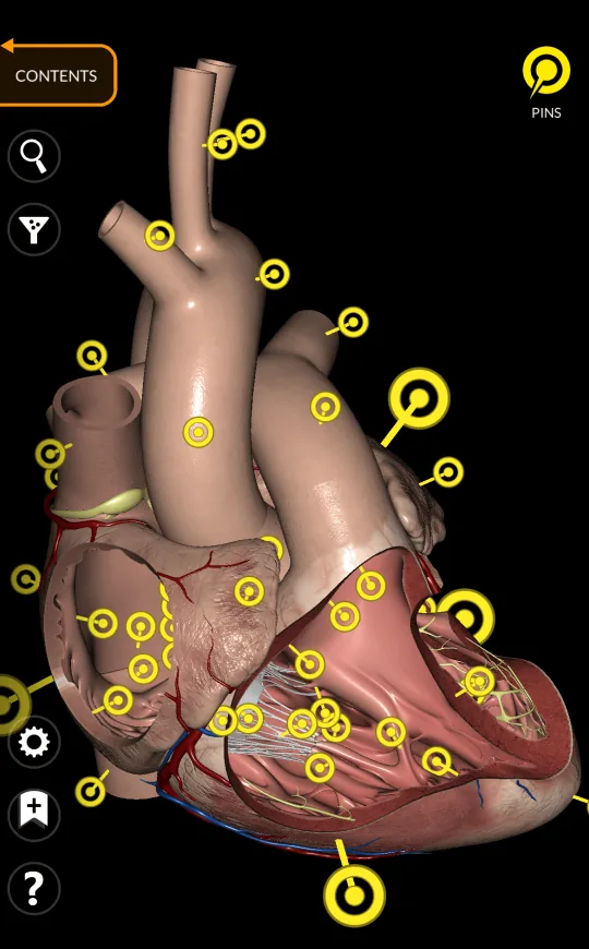 Pins in Anatomy 3D Atlas, screen 2 of 2