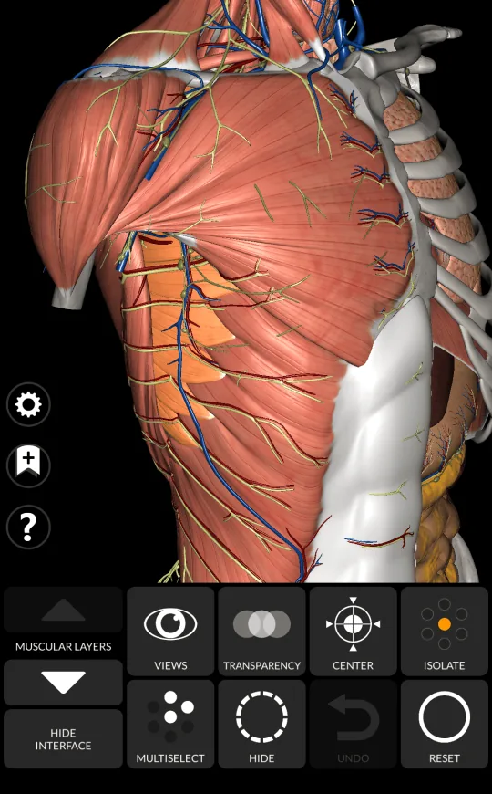 Transparency in Anatomy 3D Atlas, screen 1 of 2