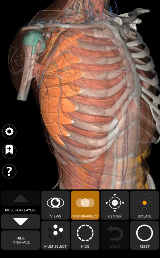 Transparency in Anatomy 3D Atlas, screen 2 of 2