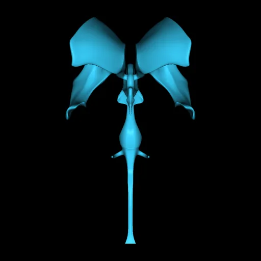 Brain (Ventricles – Isolated), anterior view