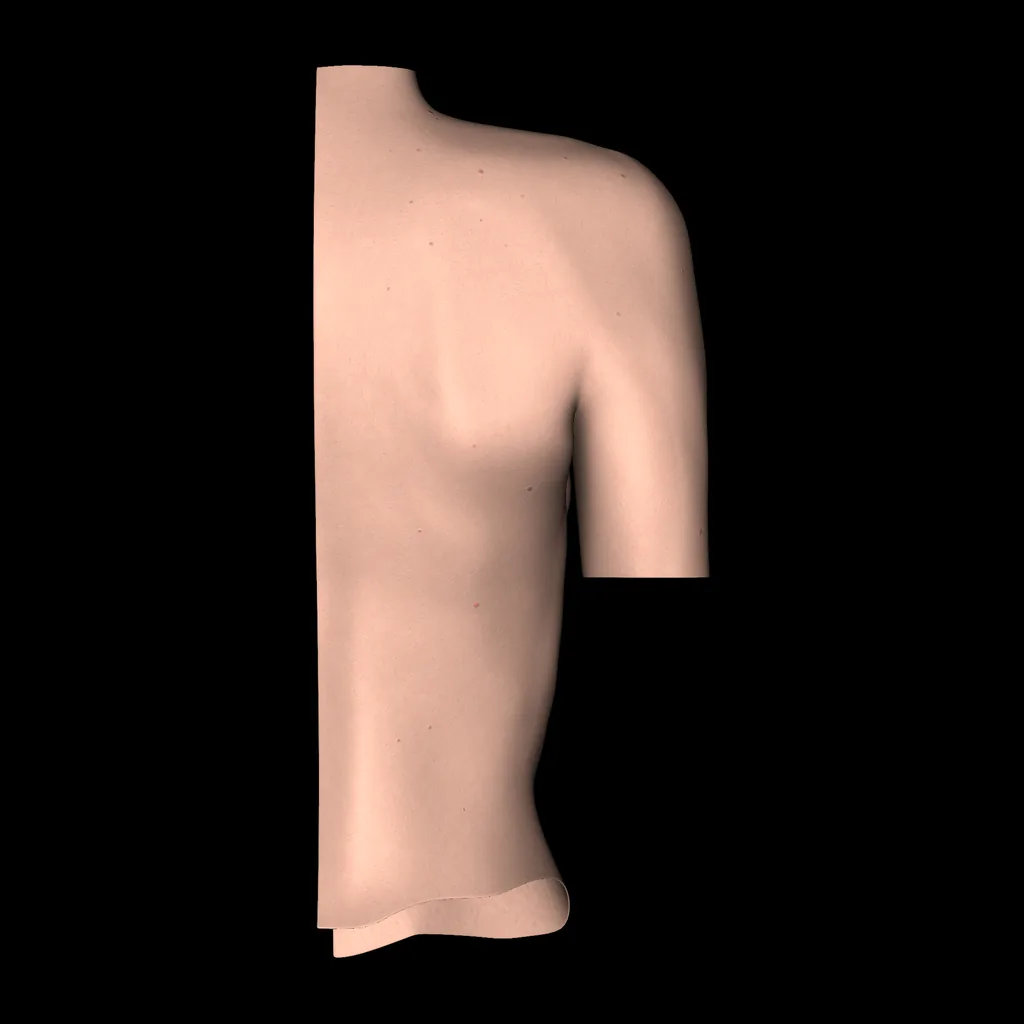 Breast, posterior view