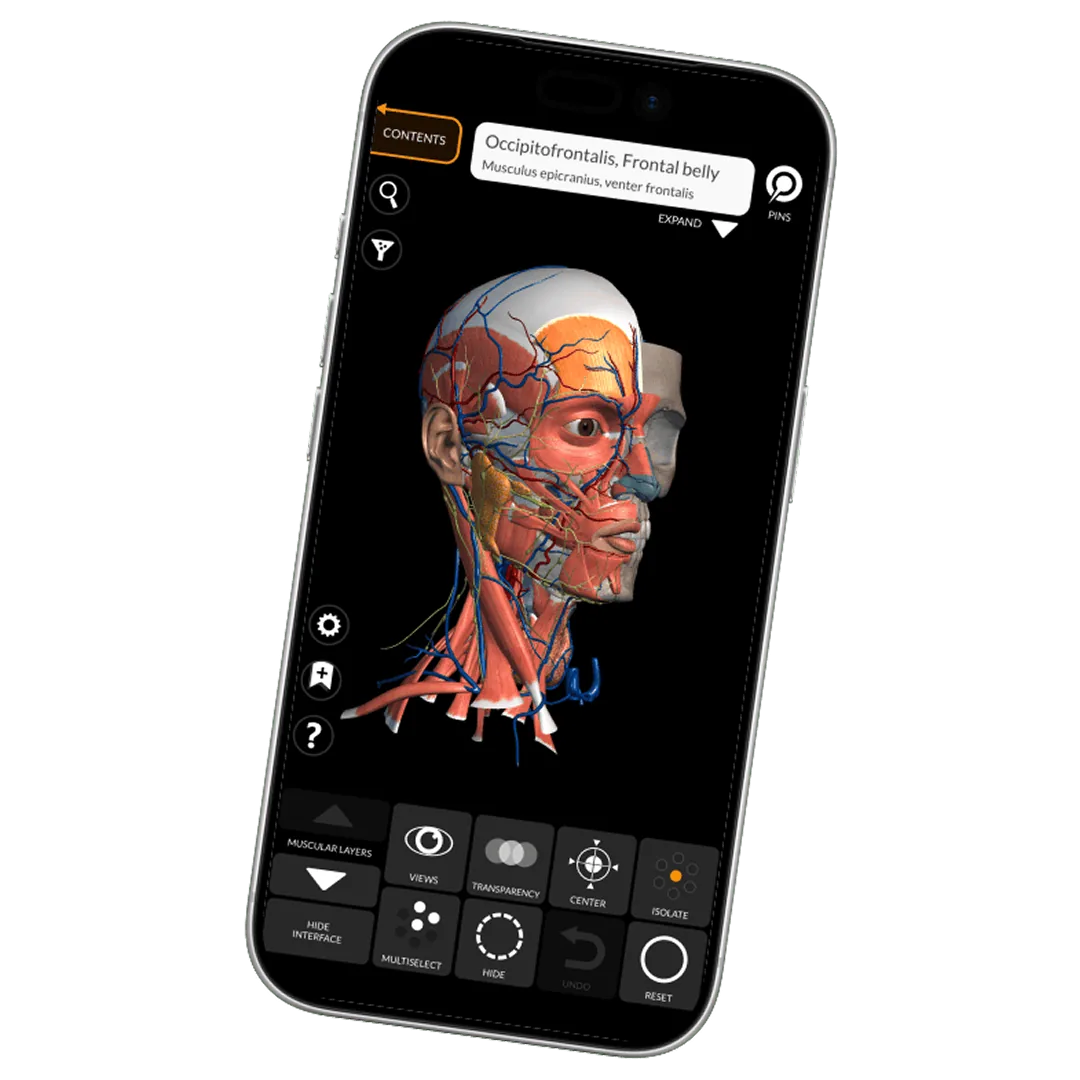 Anatomy 3D Atlas on a phone, showing a 3D model and the tool bar