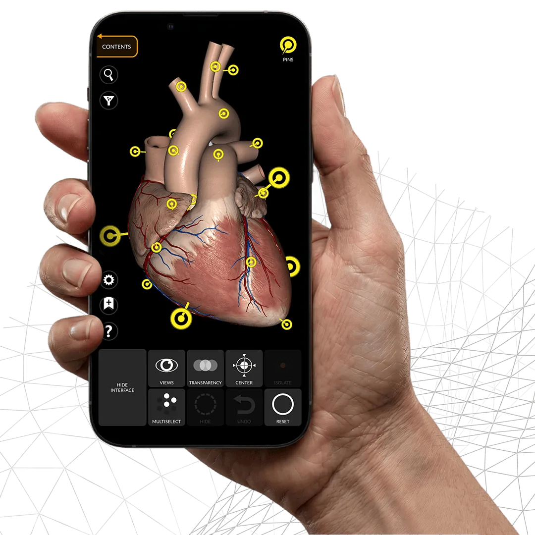 Anatomy 3D Atlas open on a phone